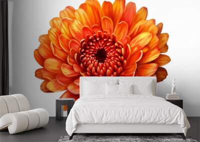 Top view of single orange flower isolated on transparent background. Generative AI Wall mural