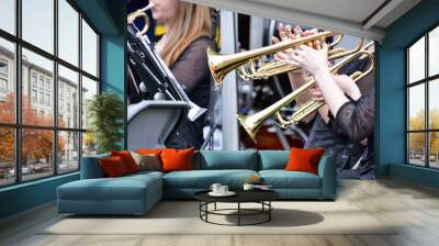 They are playing the trumpet. Wall mural