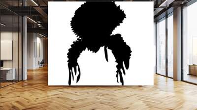 African black curly hairstyles Wall mural