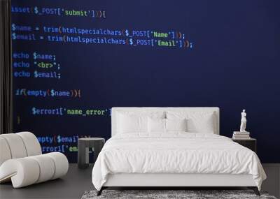 Programming code abstract screen of software developer. Computer script Wall mural