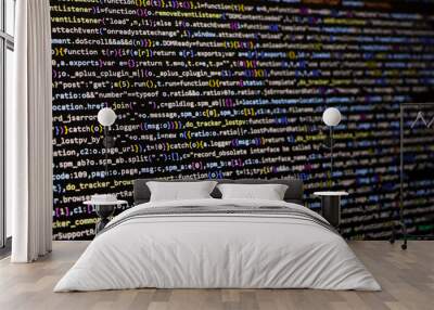 Web development coding, programming screen Wall mural