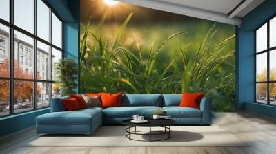 Green grass in summer forest at sunset Macro image sha Wall mural