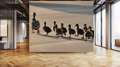 Ducks Wall mural