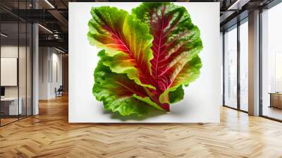 Tasty One natural Green and Red Leaf Lettuce. Generative Ai Wall mural