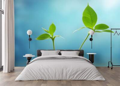 Growing plant on blurry blue nature background Wall mural