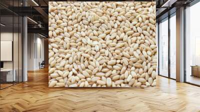 Organic raw wheat grains on a white background Wall mural