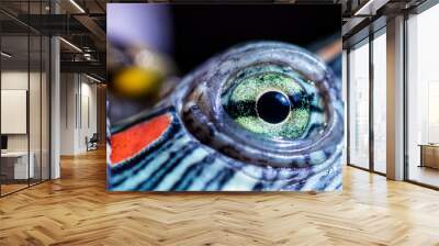 red-cheeked water turtle, macro photo, its eye Wall mural