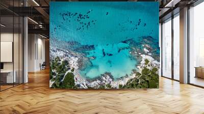 Beautiful beach top aerial view drone shot Wall mural