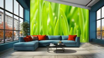 Grass Wall mural