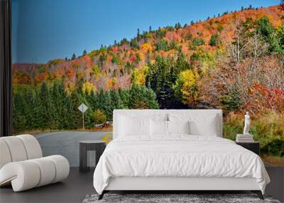 Highway at autumn day in Vermont, USA. Wall mural