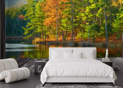 Pond in White Mountain National Forest, New Hampshire Wall mural