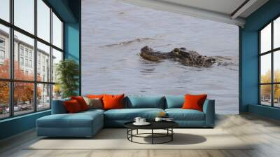 alligator in the water cooling off Wall mural