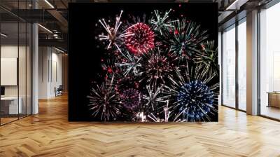 Fireworks Celebration in Black Sky Wall mural