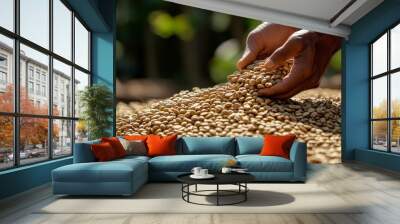 person holding a coffee roasted beans in hand. Wall mural