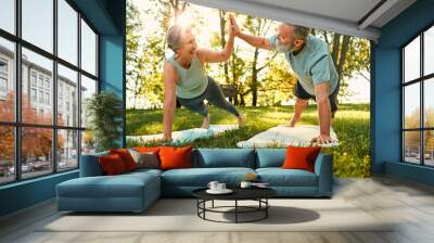 Fitness training on retirement. Healthy elderly man and woman making high five gesture while standing in plank position. Two pensioners smiling and participating during workout at green sunny park. Wall mural