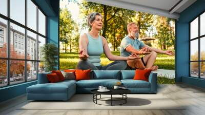 Relaxation during outdoors yoga. Calm elderly couple meditating together in lotus position under morning sun at summer park. Caucasian man and woman keeping eyes closed and hands in mudra gesture. Wall mural