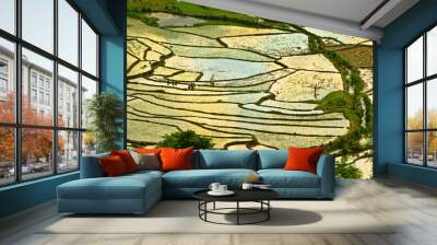 Aerial image of rice terraces in Sang Ma Sao, Y Ty, Vietnam Wall mural