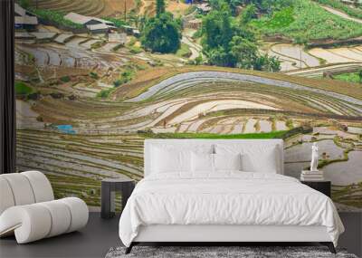 Nice landscape of terraced fields in Mu Cang Chai, Vietnam in rice planting season Wall mural