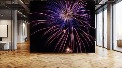 multicolored fireworks celebration Wall mural