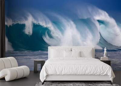 North Shore Winter Waves Wall mural