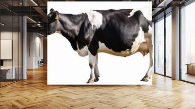 a dairy cow isolated on transparent background Wall mural