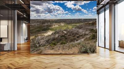 The Badlands of Albert in Canada Wall mural