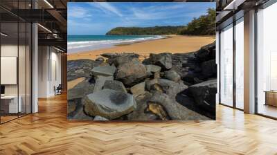 the beach of the island con dao in vietnam Wall mural