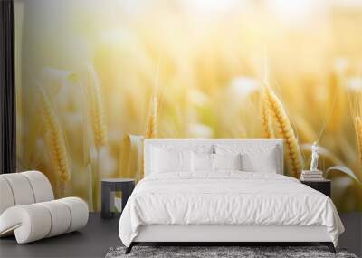 Golden Wheat Field Close Up with Sunlit Background Wall mural