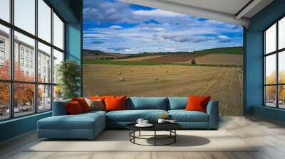 Bales of alfalfa in the field in summer Wall mural