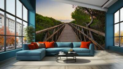 Beautiful path to playa de muro Wall mural