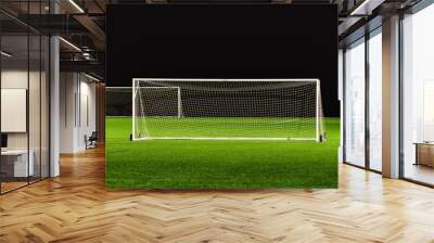 Soccer field with gates and with black on the background Wall mural