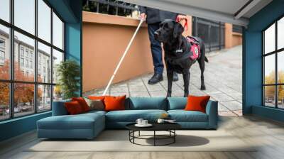 Guide dog helping blind man in the city. Wall mural