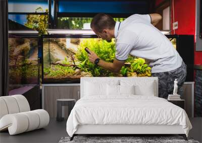 Man cleaning aquarium using magnetic fish tank cleaner. Wall mural