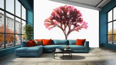 Irish Moss Carrageen Seaweed Wall mural