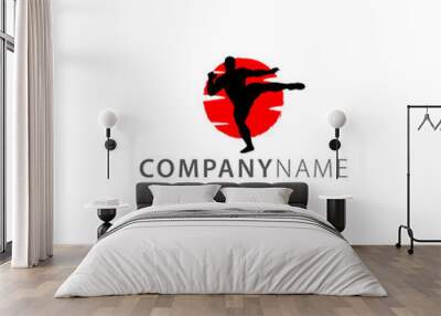 silhouette kungfu warrior logo vector Wall mural