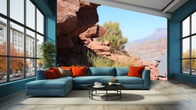 Grand Canyon Wall mural