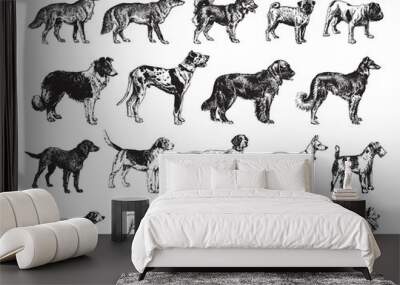 Dog collection - vintage engraved vector illustration from Larousse du xxe siècle Wall mural