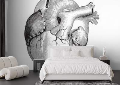 Human heart / vintage illustration Wall mural