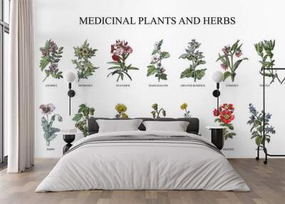 Medicinal plants and herbs collection - vintage illustration from Larousse du xxe siècle Wall mural