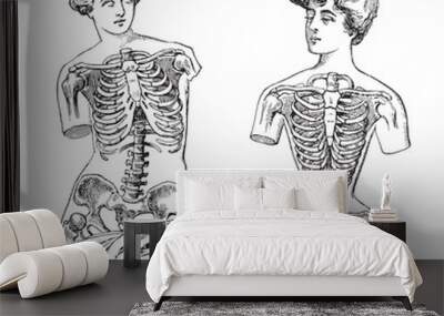 Thorax - Venus de Milo (left) and mannequin (right) / vintage illustration Wall mural