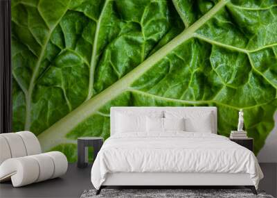 Closeup of organic spinach leaf Wall mural