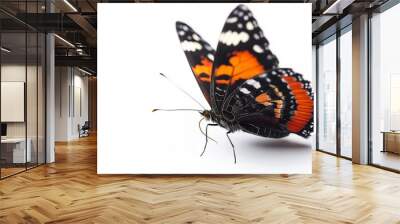 A Vibrant Butterfly With Open Wings Against a Pure White Background. AI Generated Wall mural