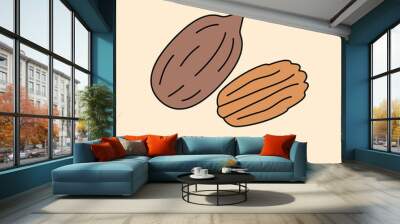 Color vector linear flat icons of pecan-nuts, isolated.	 Wall mural