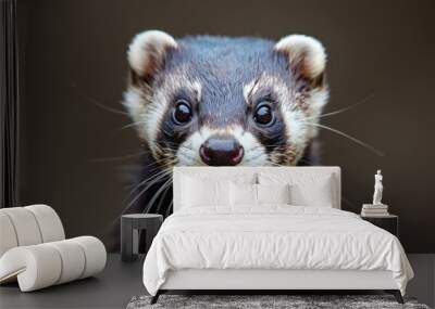 A close-up shot of an adorable ferret with a curious expression, highlighted by its bright eyes and distinctive facial markings, set against a plain background. Wall mural