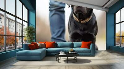 A loyal black Labrador resting beside its owner in a tranquil outdoor setting during a cloudy day Wall mural