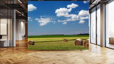 summer landscape Wall mural