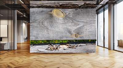 A close-up view of a weathered wood fence with knots, showing the natural texture and grain of the wood Wall mural