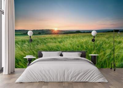 Cornish Barley Fields Wall mural