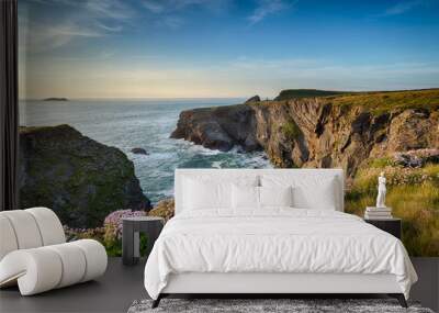 Cornwall Coastline Wall mural