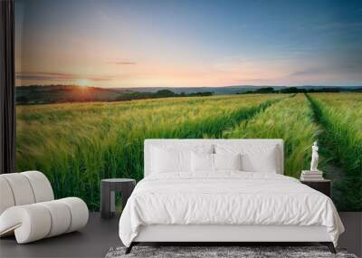 stunning sunset over barley fields Wall mural